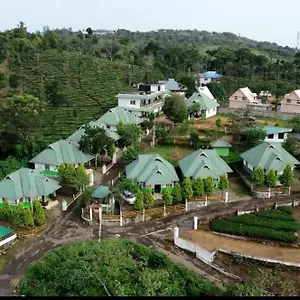 Moss Adams Vagamon