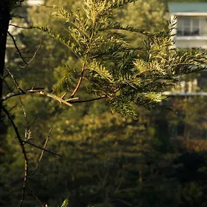 Falcon Crest Resort